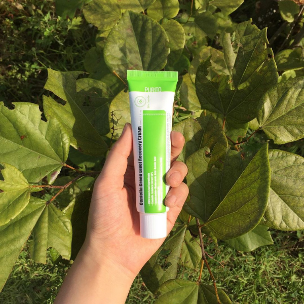 Best Korean Skincare Cruelty Free Brand PURITO