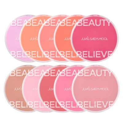 JUNGSAEMMOOL - Artist Cushion Blush